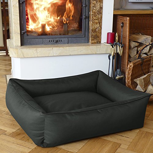 BedDog Hundebett MAX L bis XXXL, 10 Farben wählbar, Hundekissen Hundesofa Hundekorb,anthrazit XXL ca. 120×85 cm - 3