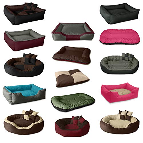 BedDog Hundebett MAX L bis XXXL, 10 Farben wählbar, Hundekissen Hundesofa Hundekorb,anthrazit XXL ca. 120×85 cm - 6